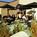 Radisson Hotel Roseville , MN from Expedia