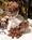 The BEALL MANSION::BedAndBreakfast.com