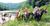 Best Western River Cities::Orbitz
