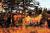 Cascade Lodge::ProfessionalTravelGuide.com