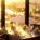 Marriott Miami Biscayne Bay::ProfessionalTravelGuide.com