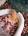 Spa at Crescent Court::Priceline.com