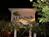 Almond Tree Inn from VirtualTourist