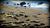 Elephant Seal Watching from Yahoo! Travel