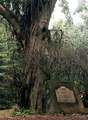 Tn-woodside_mill_plaque_thumb
