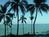 Sheraton Waikiki from Orbitz