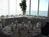 Best Western Yacht Harbor Inn::Expedia
