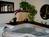Cottonwood Inn Bed and Breakfast::BedAndBreakfast.com
