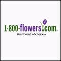 1-800-FLOWERS::CitySearch