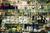 Holiday Inn Select Nashville Downtown-Vanderbilt::Orbitz