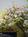 Enchanted Garden Suite::BedAndBreakfast.com