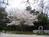 Bloomsbury Inn::BedAndBreakfast.com