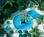 PGA National Resort & Spa::DiscoverSpas.com
