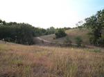 Knobb's Hill Trail
