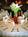 Holiday Inn Springfield::Orbitz