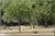Kankakee South KOA from ReserveAmerica.com