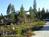 Yosemite Springs BB::BedAndBreakfast.com