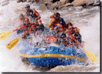 Raft the Roaring Fork or Colorado River