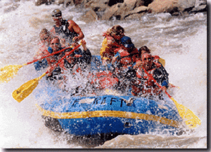 Web-1raft