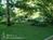 Brook Farm Inn::BedAndBreakfast.com