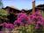 Beechwood Inn - Bed Breakfast and Wine Cellar::BedAndBreakfast.com