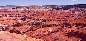 Cedar Breaks National Monument::Nps