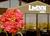 Livinn Suites Sharonville::Expedia