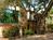 Deer Haven Inn & Suites::Hotels.com