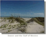 Padre Island National Seashore