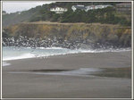 Gualala Point Regional Park