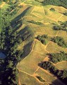 Hess Collection Winery
