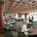 Hilton Wilmington/Christiana::Orbitz