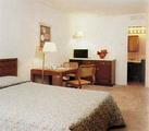 Executive Inn - Belleville