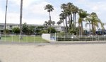 Best Western Jamaica Bay Inn