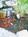 Mojave Resort::Orbitz