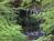 Ledford Mill Bed & Breakfast::TripAdvisor