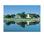 Pioneer Resort Marina::Epinions.com