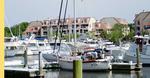 SHELTER COVE MARINA