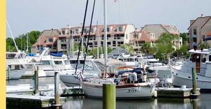 SHELTER COVE MARINA::Sheltercovehiltonhead.com