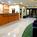 SpringHill Suites by Marriott St. Petersburg/Clearwater::Priceline.com