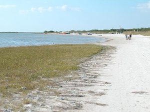 Tigertail Beach::Beachhunter