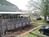 Fig Tree Manor Bed Breakfast::BedAndBreakfast.com