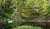 Pearsons Pond Inn And Spa::Hotels.com