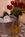 Harmony House::BedAndBreakfast.com