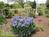 Vogt Farm Bed & Breakfast::BedAndBreakfast.com