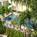 Inn At The Beach::Orbitz
