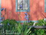 Pearlessence Vineyard Inn::BedAndBreakfast.com