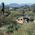 Tn-hummer-night-tour-in-the-sonoran-desert-in-phoenix-scottsdale-1