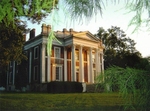 Tn-image3