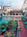 Royal Sonesta Hotel::ProfessionalTravelGuide.com